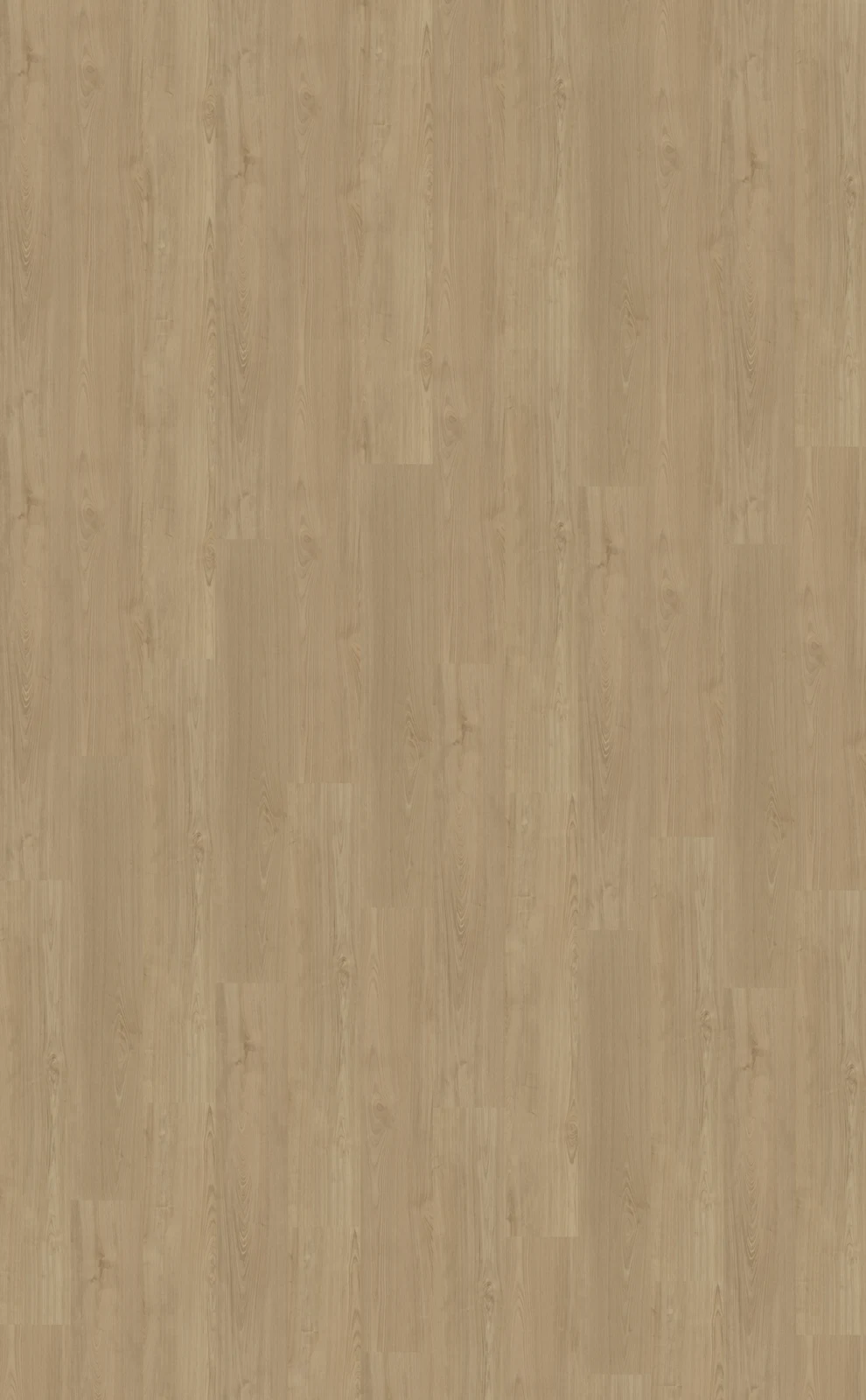 Belakos Portico Portico 540 | Rigid Click