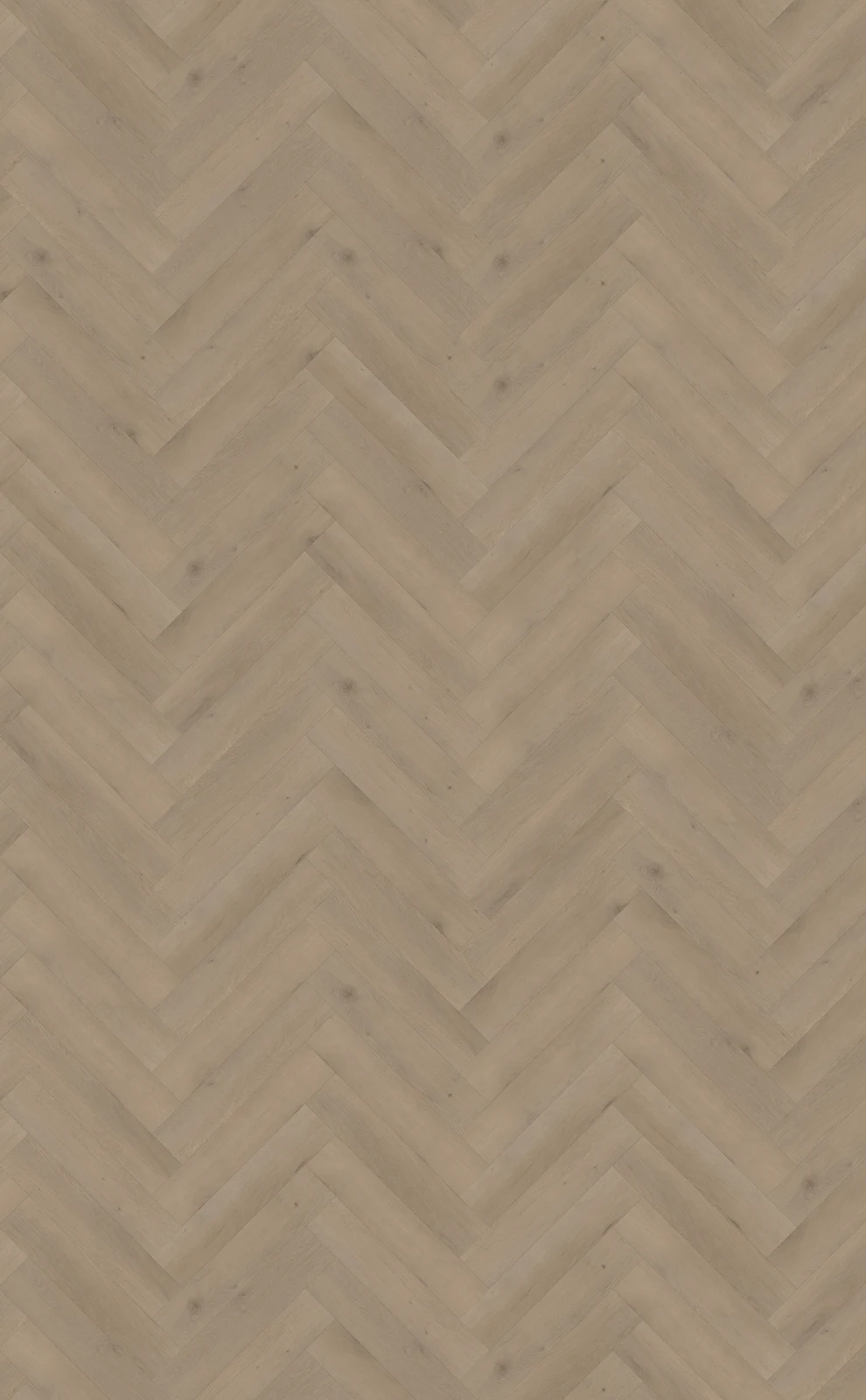 Belakos Attico Attico visgraat XL 82