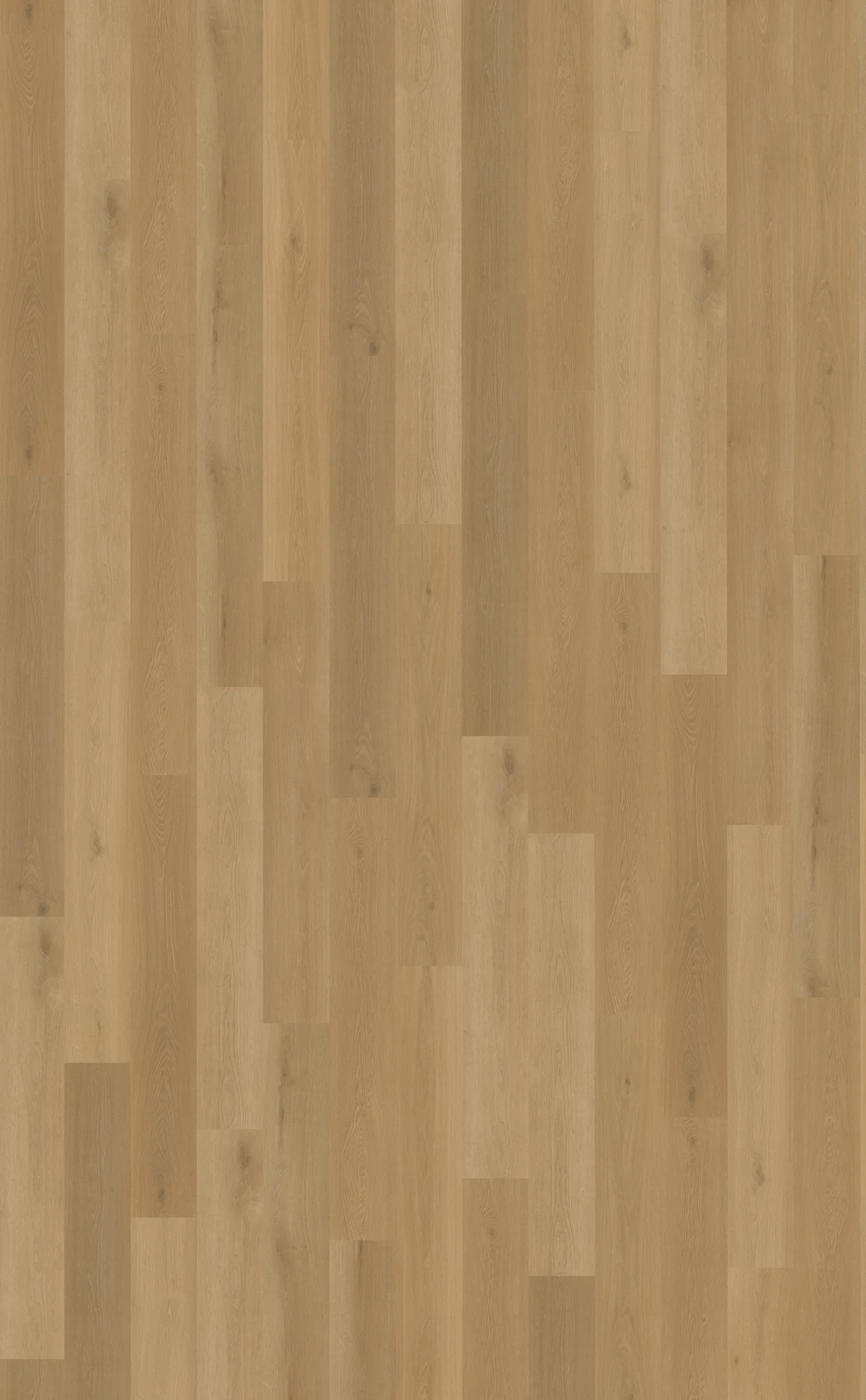 Belakos Borgo 320 | Rigid Click