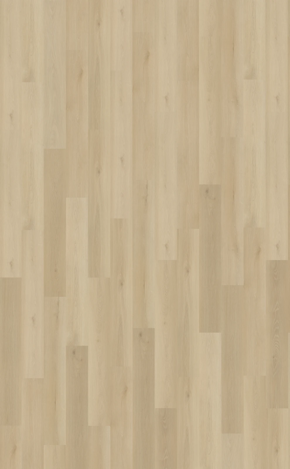 Belakos Borgo 330 | Rigid Click